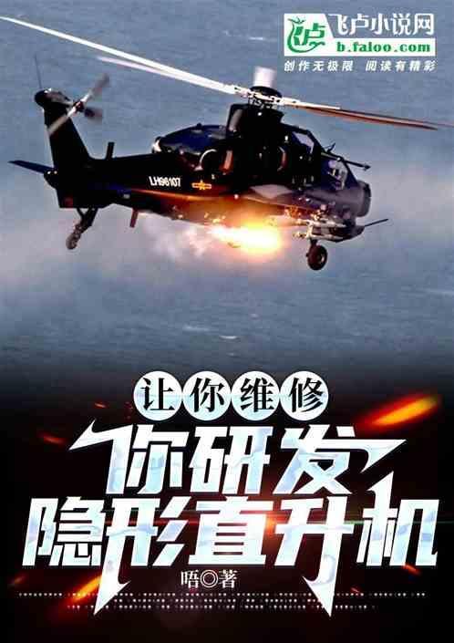 具有隐身性能的直升机