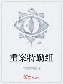 重案队是什么