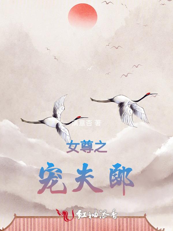 女尊之宠夫免费阅读全文