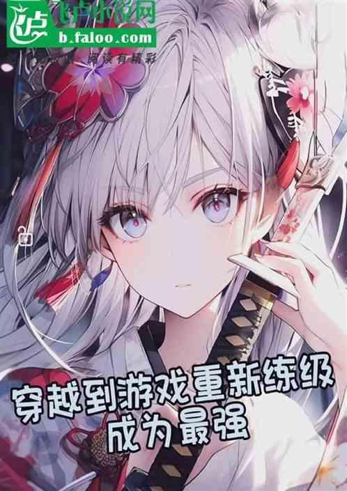 主角穿越到游戏世界的200级