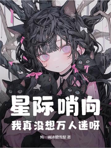 星际哨兵向导