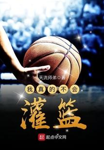 我真不会打篮球诺亚在线阅读
