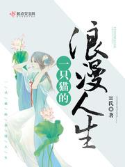 一只猫的含义是什么