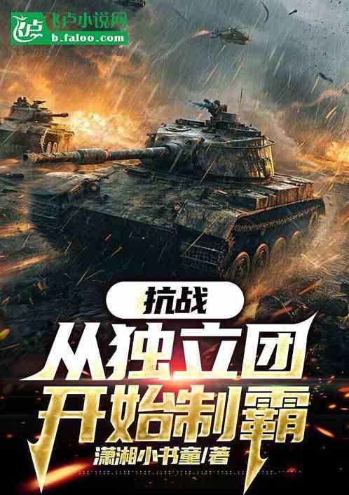 抗战之独立团 陆捌四十八