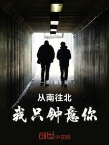 歌词我从南走到北