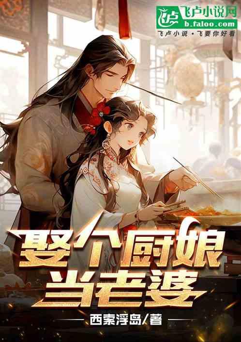一个厨师娶了一个寡妇电视剧