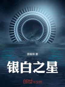 白银之月 白金之星