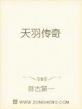 天羽传奇界面截图