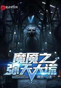 弥天之谎在线播放
