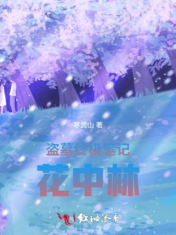 盗墓笔终极笔记