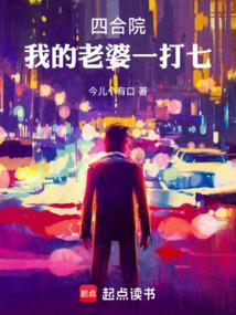 四合院我的老婆一打七 作者今儿个有口