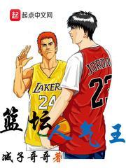 乔伊陆景云全文阅读