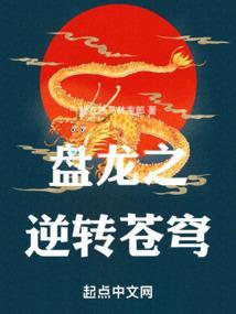 盘龙之命运