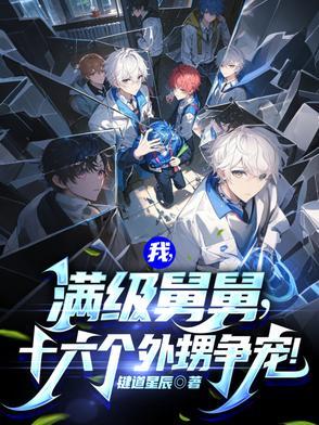 我满级舅舅十六个外甥争宠免费阅读