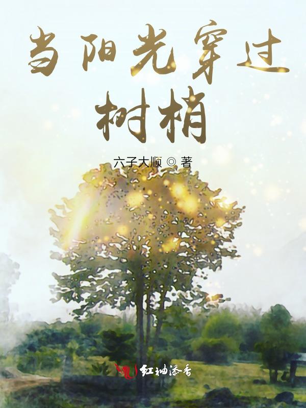 阳光穿过树梢