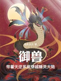 带着天逆系统穿越精灵大陆的