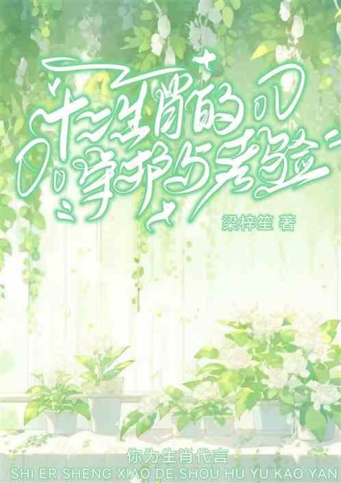 十二生肖守护属相