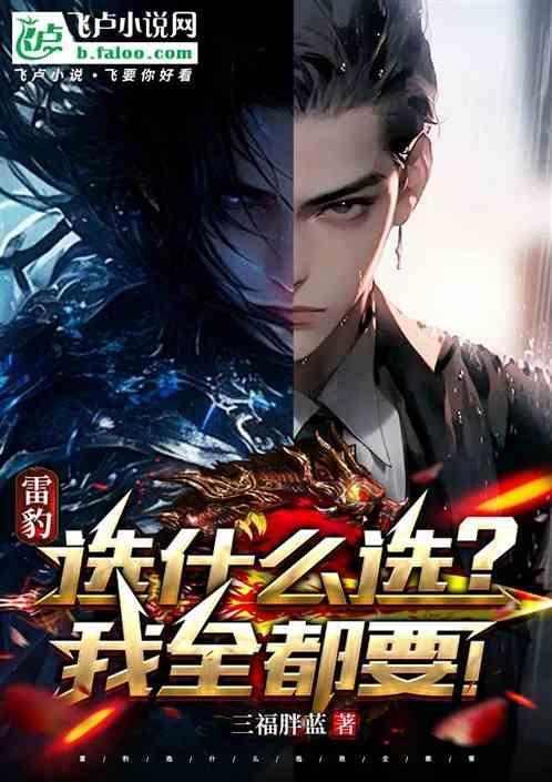 雷豹mbc2000