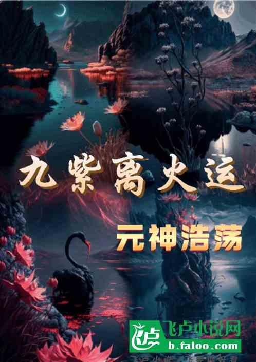 九紫离火运图片