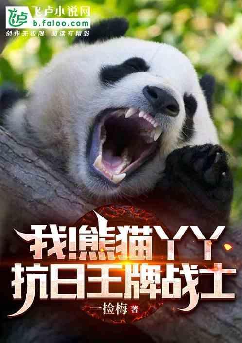 yy熊猫