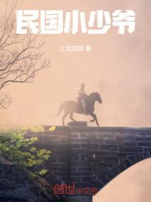 民国少爷小姐的电视剧
