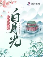 权臣的在逃白月光148章免费