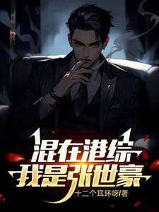 重生张世豪之偷运军火
