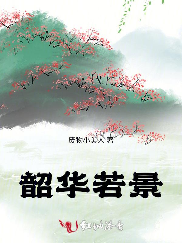 韶华若锦免费观看