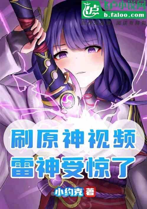 原神雷神攻略视频