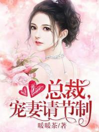 总裁 宠妻请节制