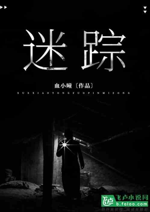 迷踪之国电视剧免费观看