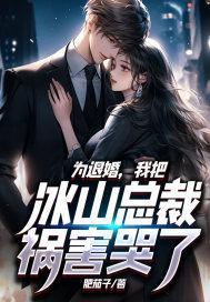我把冰山女总裁祸害哭了