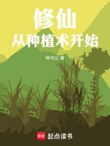 修仙从一颗种子开始