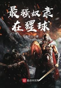 最强奴隶主系统