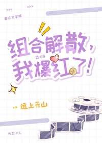 组合解散我爆红了晋江文学城