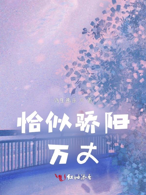 恰似骄阳遇寒夜