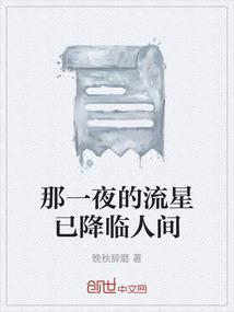 流星来的那一夜歌曲