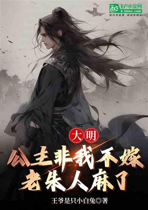 大明公主是什么电视剧