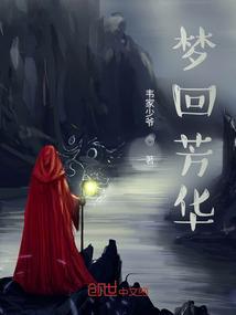 芳华如梦意思