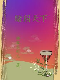 赌霸天下 电视剧