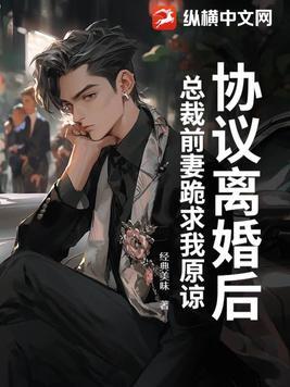 总裁求复婚
