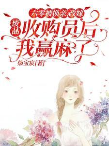 六零改嫁废品收购员后我赢麻了 笔趣阁