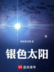 银色太阳篱笆好文学