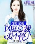 蚀骨宠溺凶猛总裁爱不停 桃小红