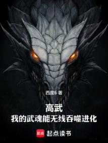 我的武魂是无限