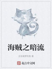 海贼王之暗皇免费