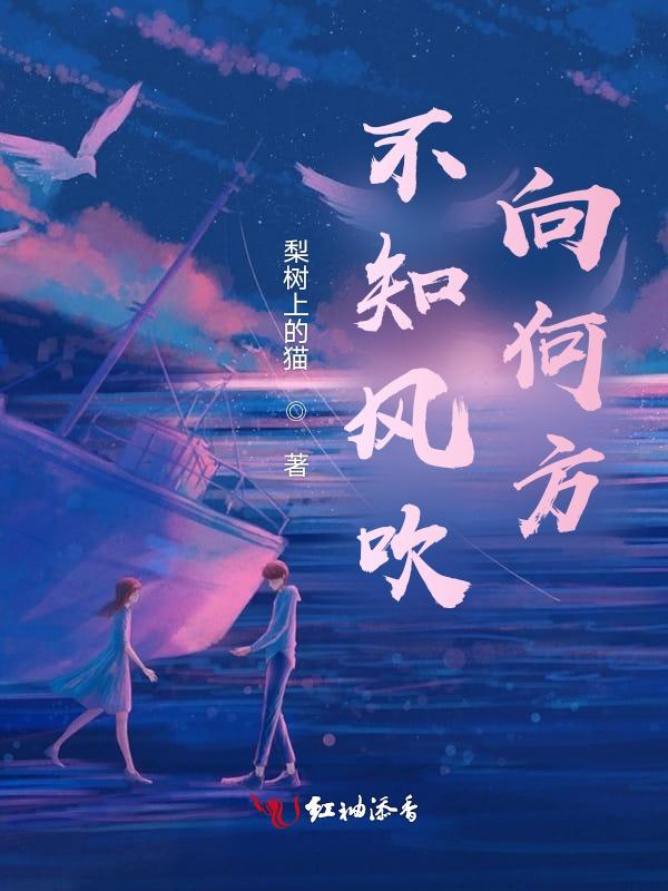 我不知道风吹向哪里