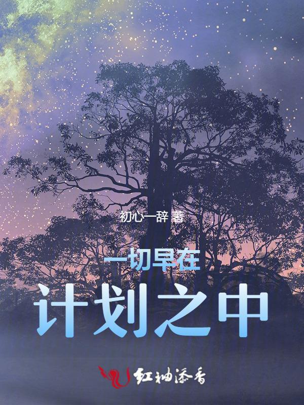 一切都不在计划中
