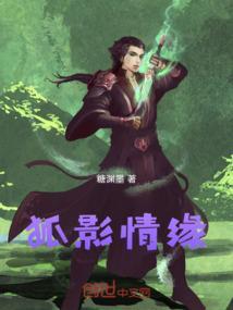 狐影44集