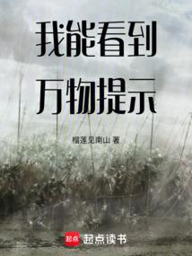 我能看到万物提示英语
